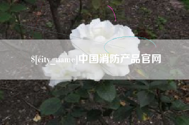 姜堰中国消防产品官网