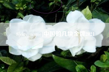 姜堰中国的几块金牌2021