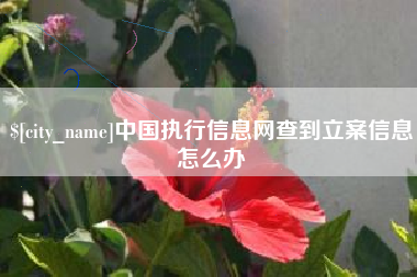 姜堰中国执行信息网查到立案信息怎么办