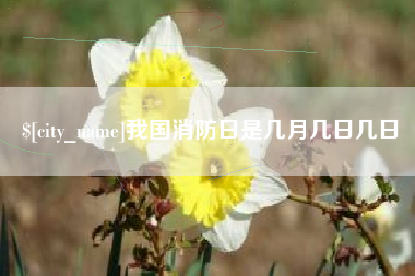 姜堰我国消防日是几月几日几日