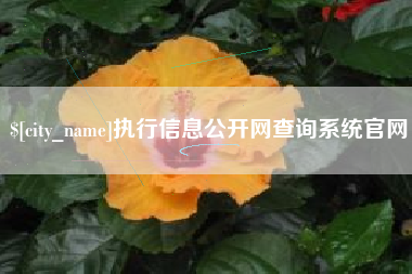姜堰执行信息公开网查询系统官网