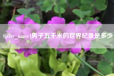 姜堰男子五千米的世界纪录是多少