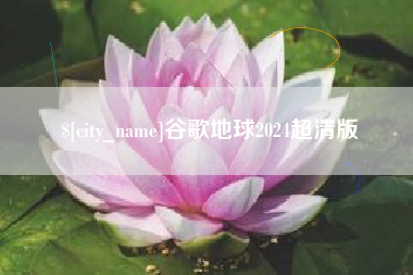 姜堰谷歌地球2024超清版