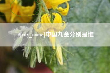 姜堰中国九金分别是谁