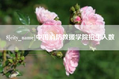 姜堰中国消防救援学院招生人数