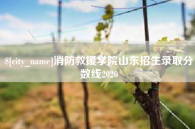姜堰消防救援学院山东招生录取分数线2020
