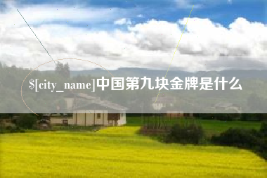 姜堰中国第九块金牌是什么