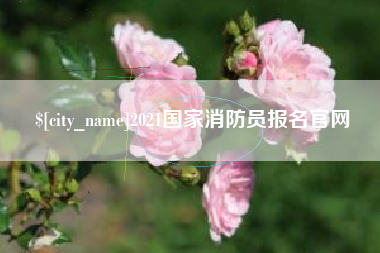 姜堰2021国家消防员报名官网