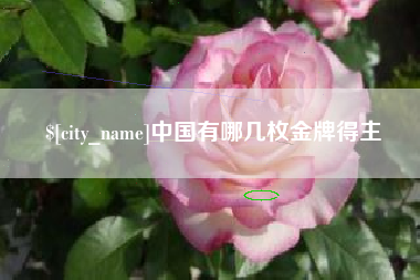 姜堰中国有哪几枚金牌得主