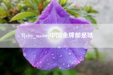 姜堰中国金牌都是啥