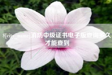 姜堰消防中级证书电子版查询多久才能查到
