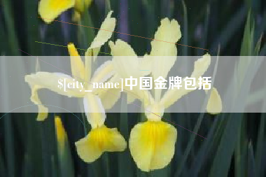 姜堰中国金牌包括