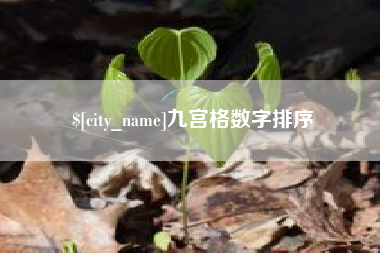 姜堰九宫格数字排序
