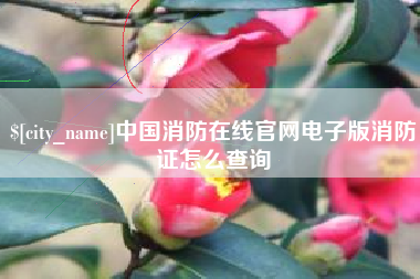姜堰中国消防在线官网电子版消防证怎么查询