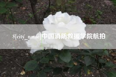 姜堰中国消防救援学院航拍