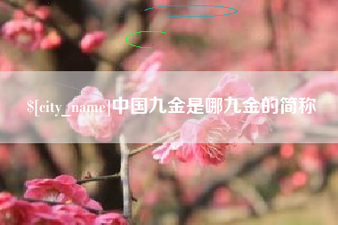 姜堰中国九金是哪九金的简称