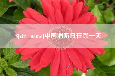 姜堰中国消防日在哪一天