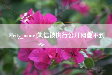 姜堰失信被执行公开网查不到