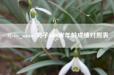 姜堰男子5000米年龄成绩对照表