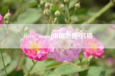 姜堰中国地图9宫格
