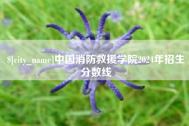 姜堰中国消防救援学院2024年招生分数线