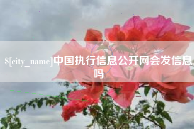 姜堰中国执行信息公开网会发信息吗