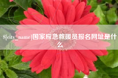 姜堰国家应急救援员报名网址是什么