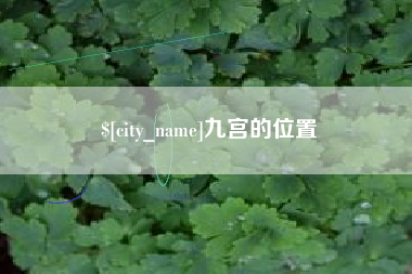 姜堰九宫的位置