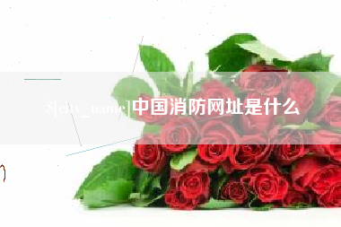 姜堰中国消防网址是什么
