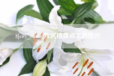姜堰九宫格盘点工具图片