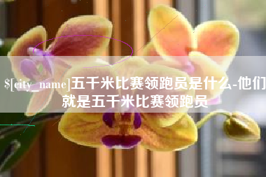 姜堰五千米比赛领跑员是什么-他们就是五千米比赛领跑员