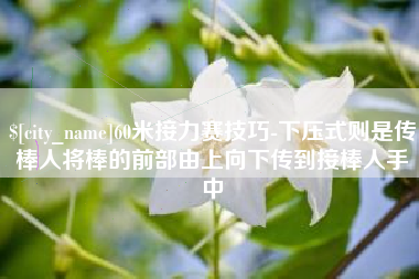 姜堰60米接力赛技巧-下压式则是传棒人将棒的前部由上向下传到接棒人手中