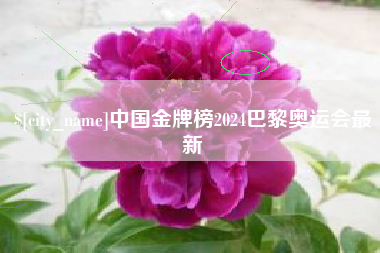 姜堰中国金牌榜2024巴黎奥运会最新
