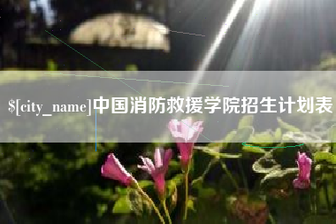 姜堰中国消防救援学院招生计划表