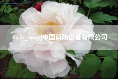 姜堰中国消防设备有限公司