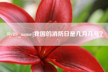 姜堰我国的消防日是几月几号？