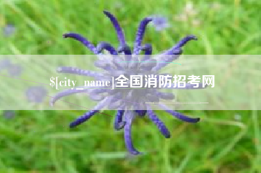 姜堰全国消防招考网