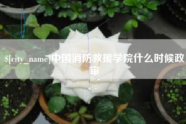 姜堰中国消防救援学院什么时候政审