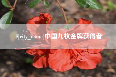 姜堰中国九枚金牌获得者