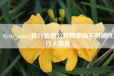 姜堰执行信息公开网查询不到被执行人信息