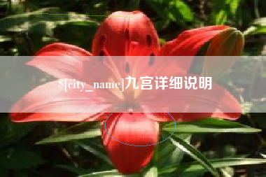 姜堰九宫详细说明