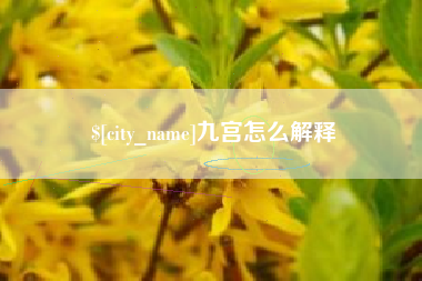 姜堰九宫怎么解释