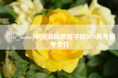 姜堰中国消防救援学院2020高考报考条件