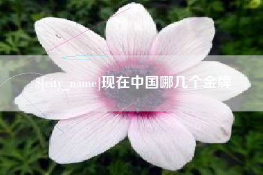 姜堰现在中国哪几个金牌