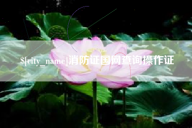 姜堰消防证国网查询操作证