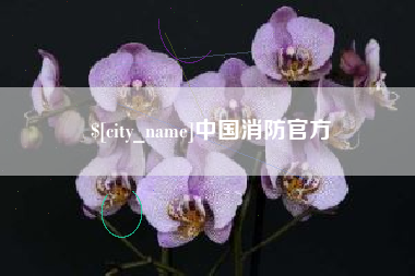 姜堰中国消防官方