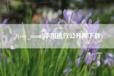 姜堰中国执行公开网下载