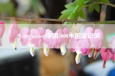 姜堰中国5000米国家记录