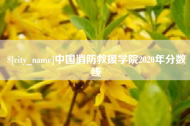 姜堰中国消防救援学院2020年分数线