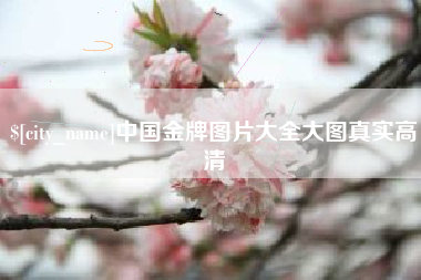 姜堰中国金牌图片大全大图真实高清